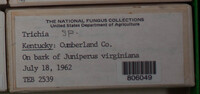 Image Associated With the Occurence